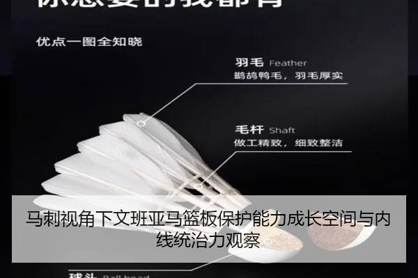 马刺视角下文班亚马篮板保护能力成长空间与内线统治力观察