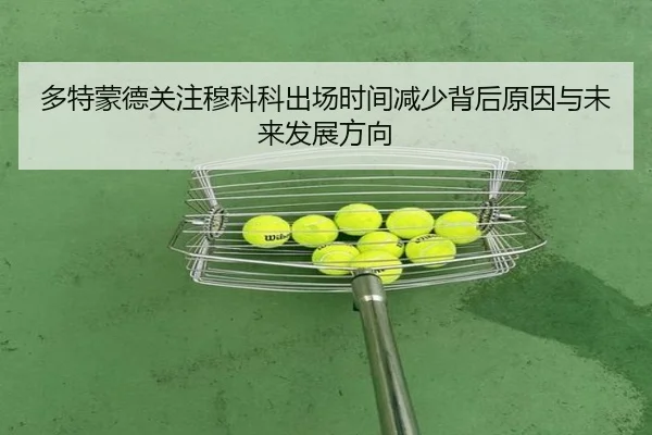 多特蒙德关注穆科科出场时间减少背后原因与未来发展方向