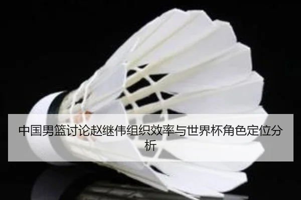 中国男篮讨论赵继伟组织效率与世界杯角色定位分析